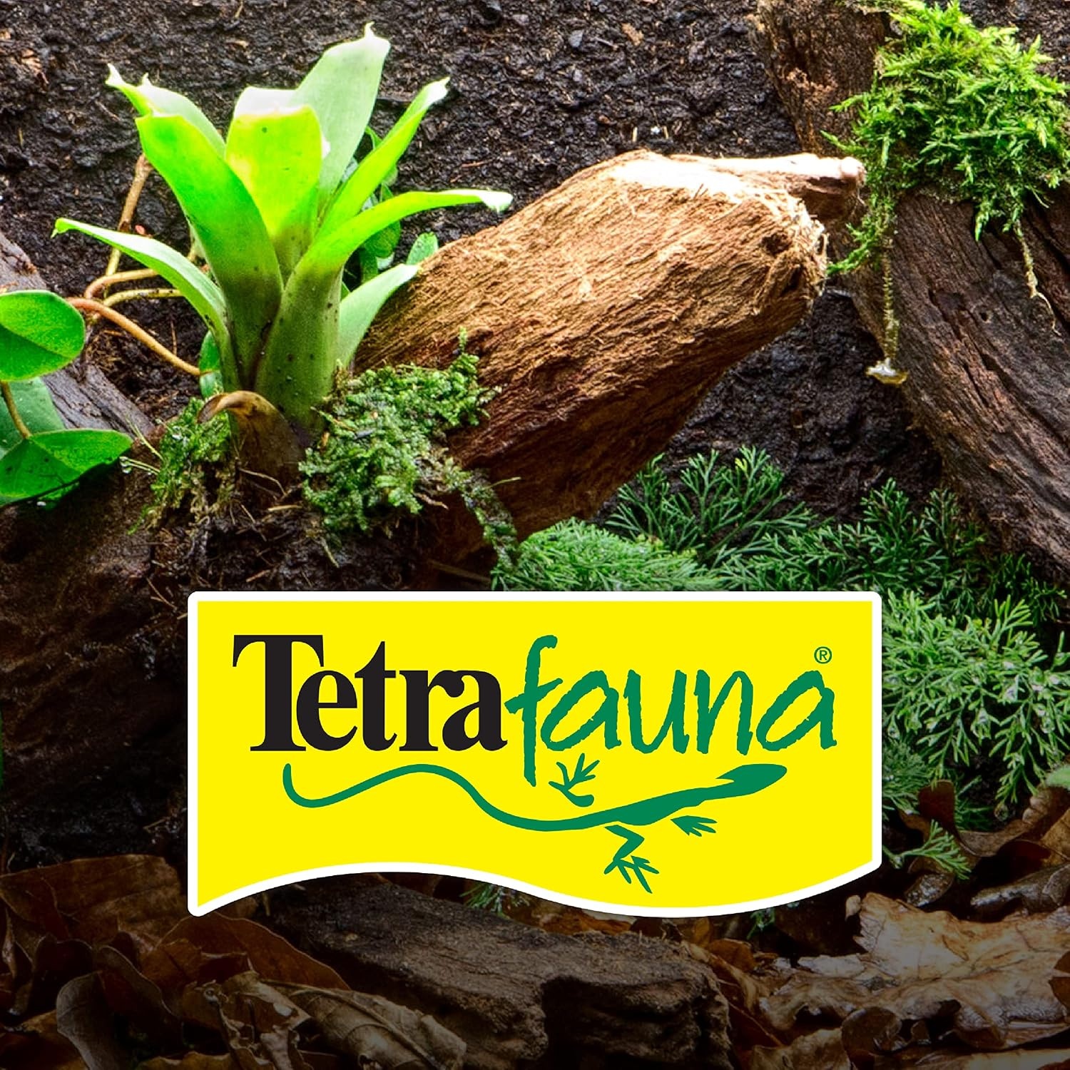 image:imageTetraFauna Hermit Crab Meal for All Land Crabs 494Ounce