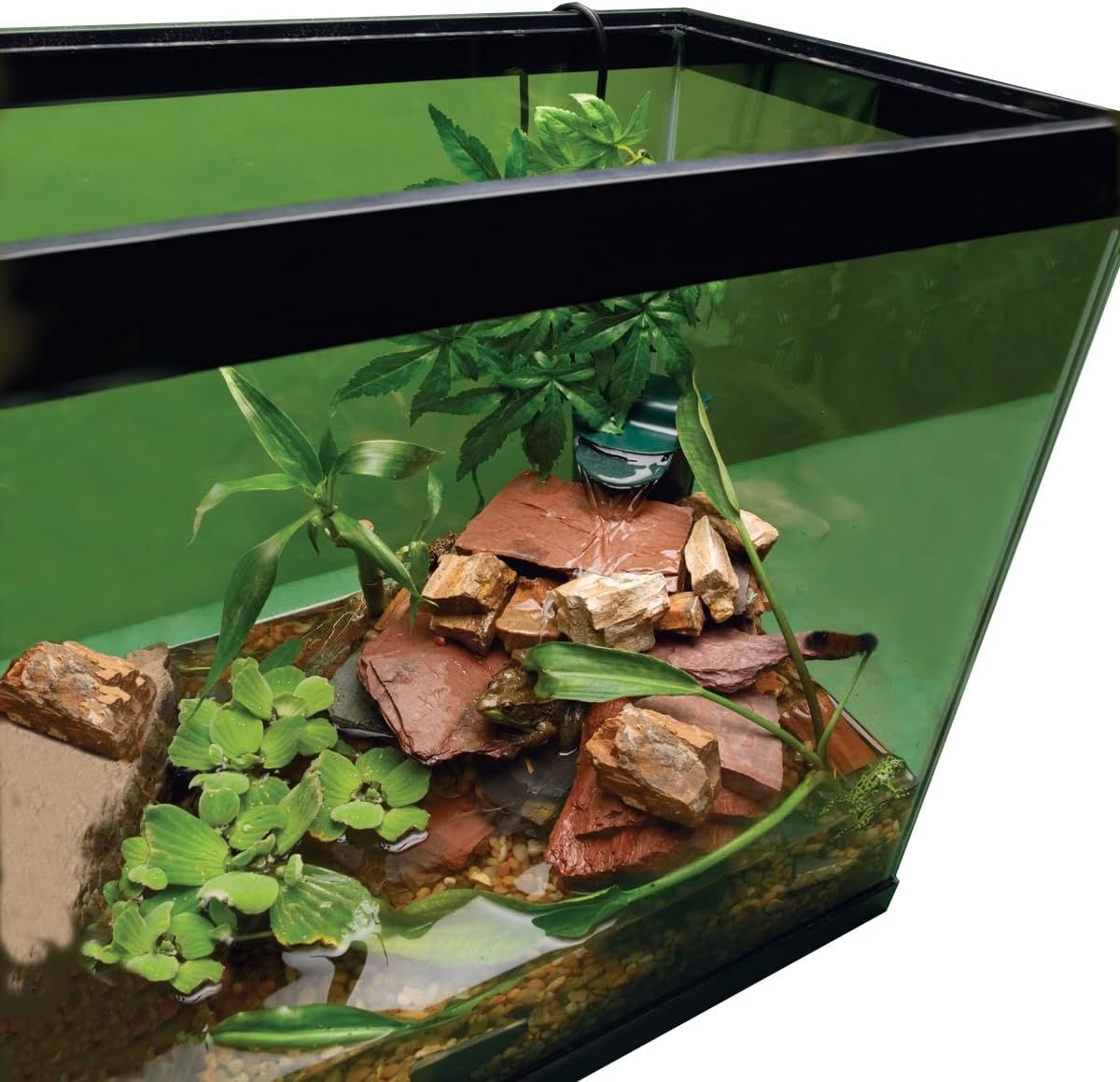 image:imageTetraFauna ReptoFilter for Frogs Newts amp Turtles90 GPH