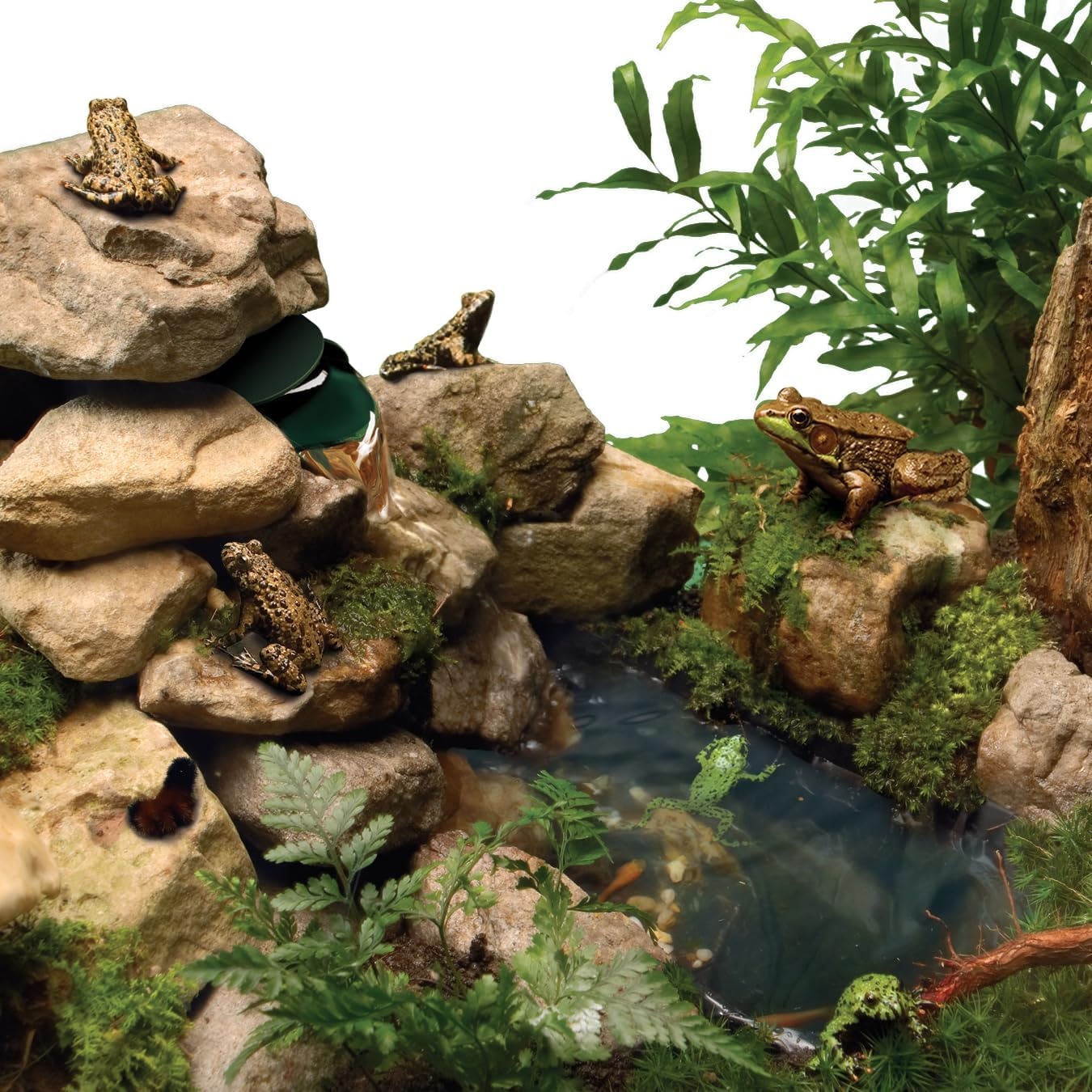 image:imageTetraFauna ReptoFilter for Frogs Newts amp Turtles90 GPH