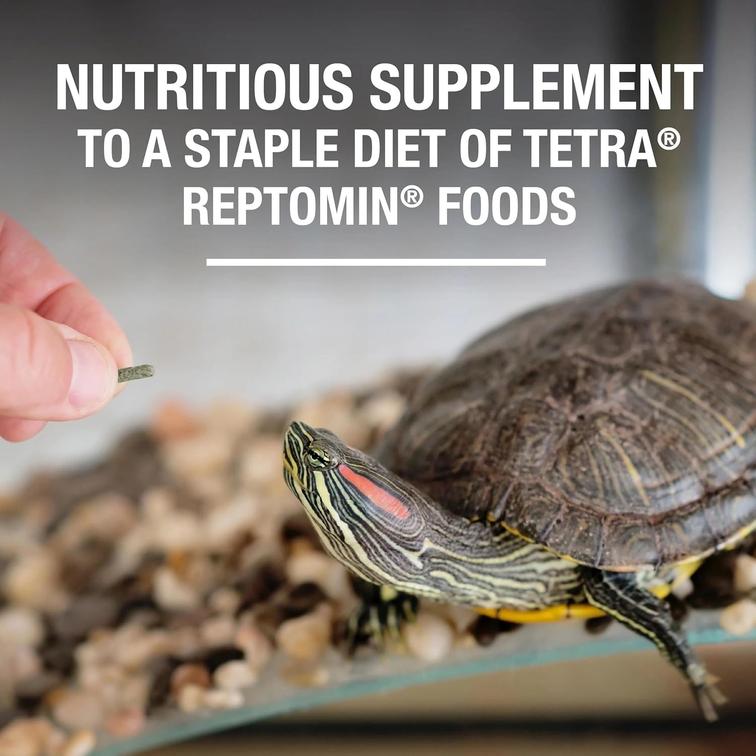 image:imageTetraFauna ReptoTreat Suprema 218 Ounces Food Supplement for Aquatic Turtles Newts and Frogs 1Pack218 Ounce Pack of 1
