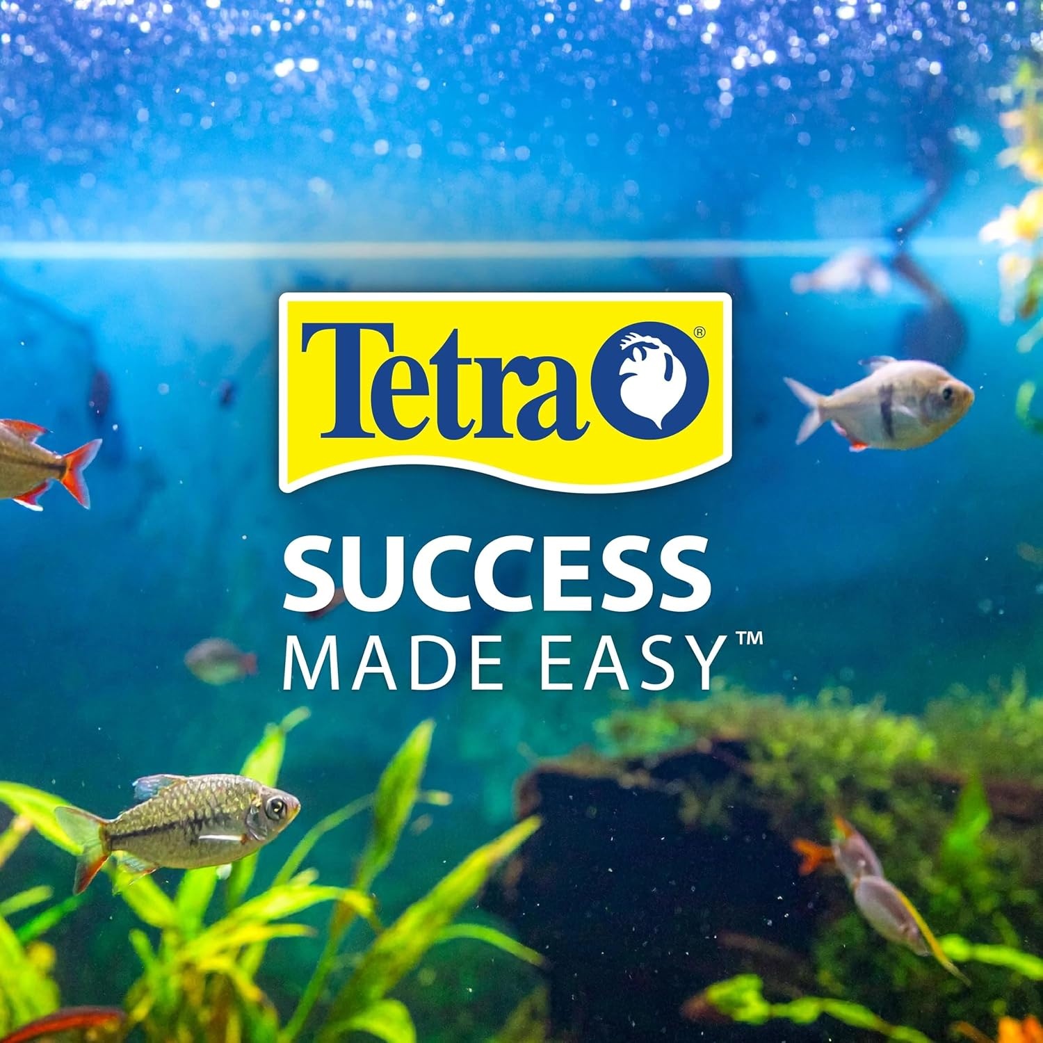 image:imageTetraFauna ReptoTreat Suprema 218 Ounces Food Supplement for Aquatic Turtles Newts and Frogs 1Pack218 Ounce Pack of 1