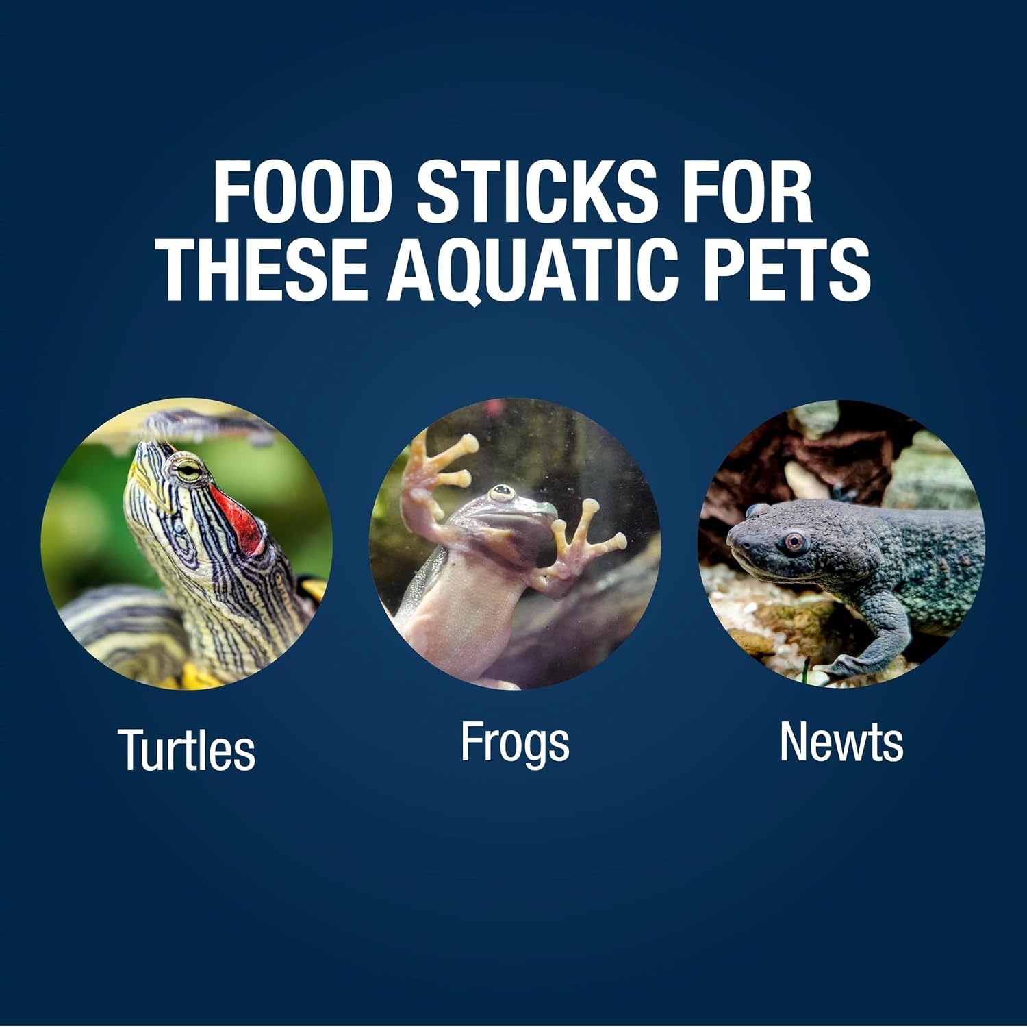image:imageTetraFauna ReptoTreat Suprema 218 Ounces Food Supplement for Aquatic Turtles Newts and Frogs 1Pack218 Ounce Pack of 1
