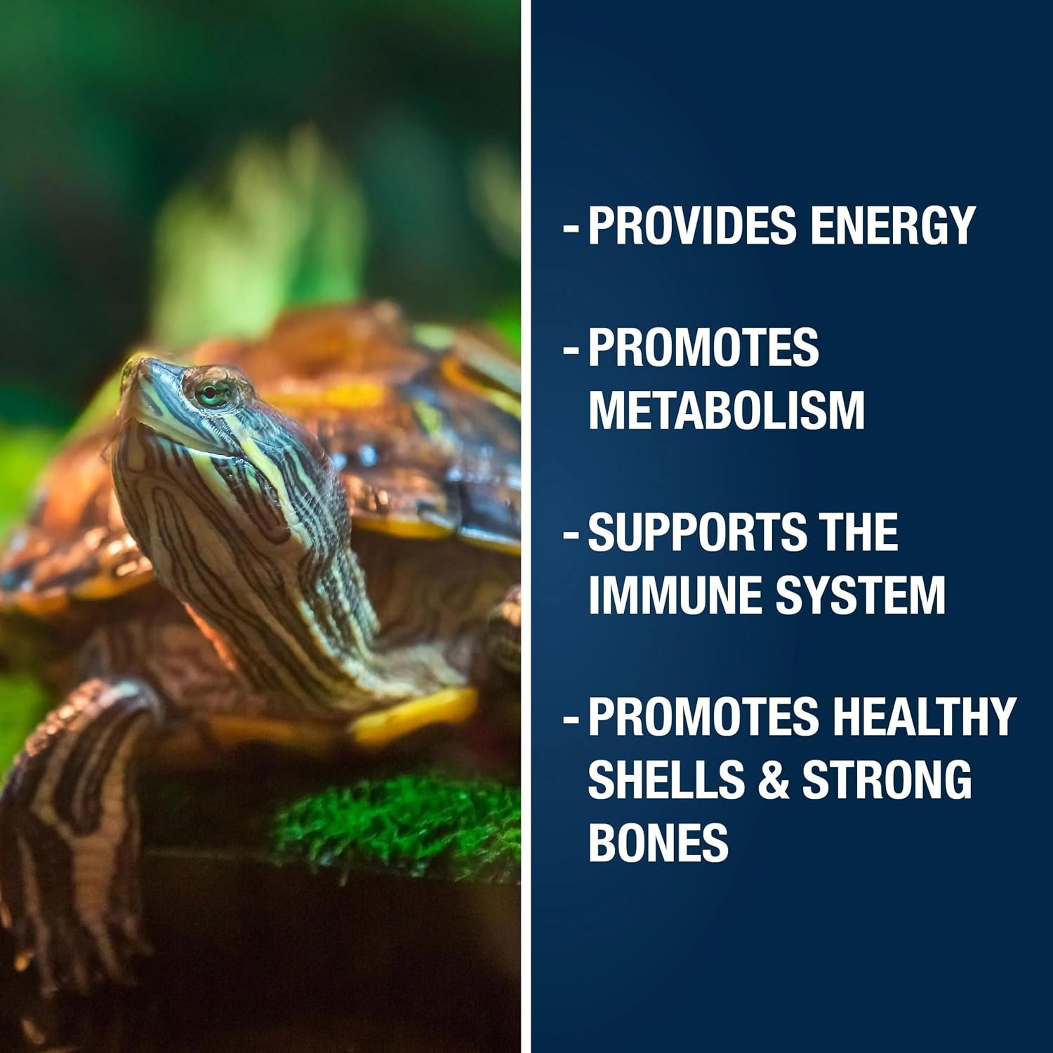 image:imageTetraFauna ReptoTreat Suprema 218 Ounces Food Supplement for Aquatic Turtles Newts and Frogs 1Pack218 Ounce Pack of 1