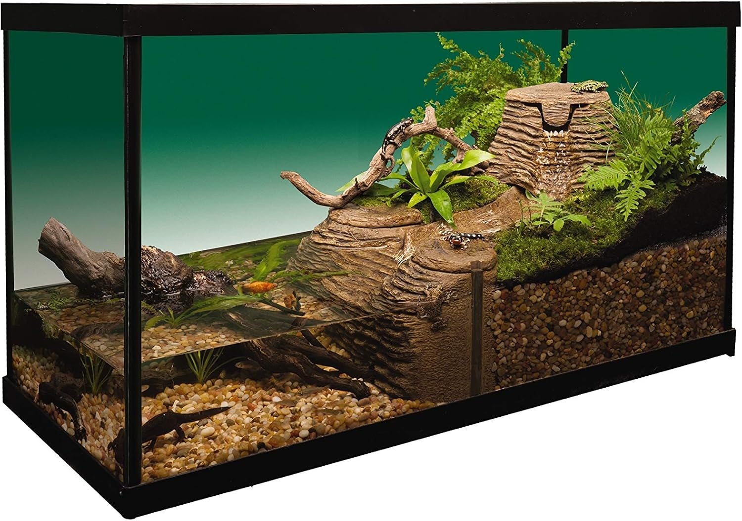 image:imageTetraFauna Viqaquarium AllInOne Terrarium And aquarium Ideal For Aquatic Reptiles And Amphibians