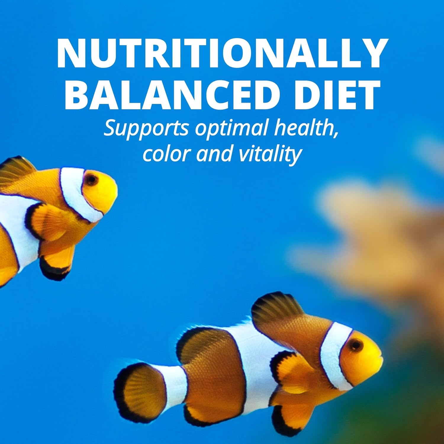 image:imageTetraMarine Large Saltwater Flakes Nutritionally Balanced Fish Food for Saltwater Fish 565 oz176 Pound Pack of 1