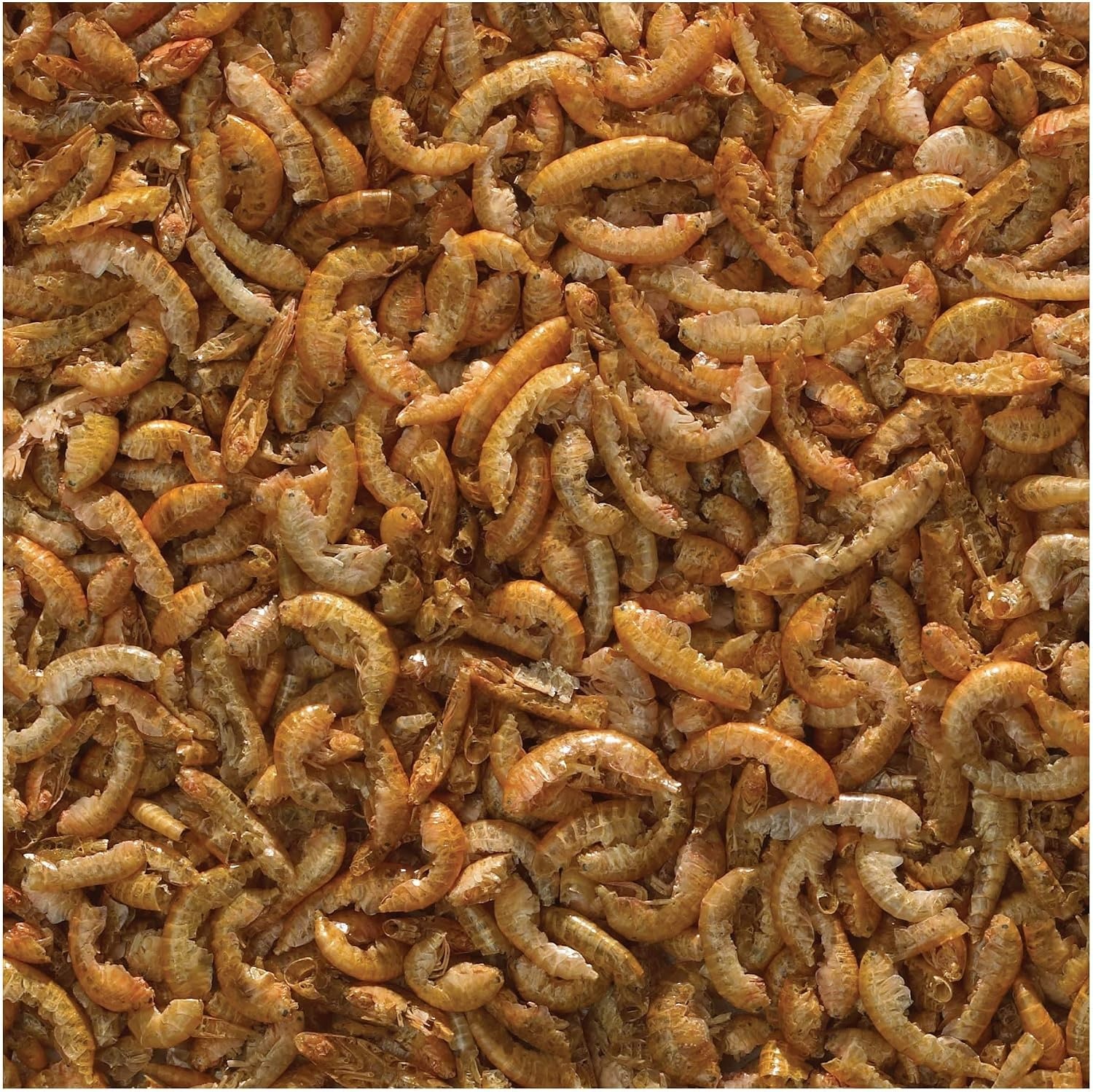image:imageTetraMin Crisps SelectAFood 24 Ounces Fish Food Variety Pack 7703724 Ounce Pack of 1