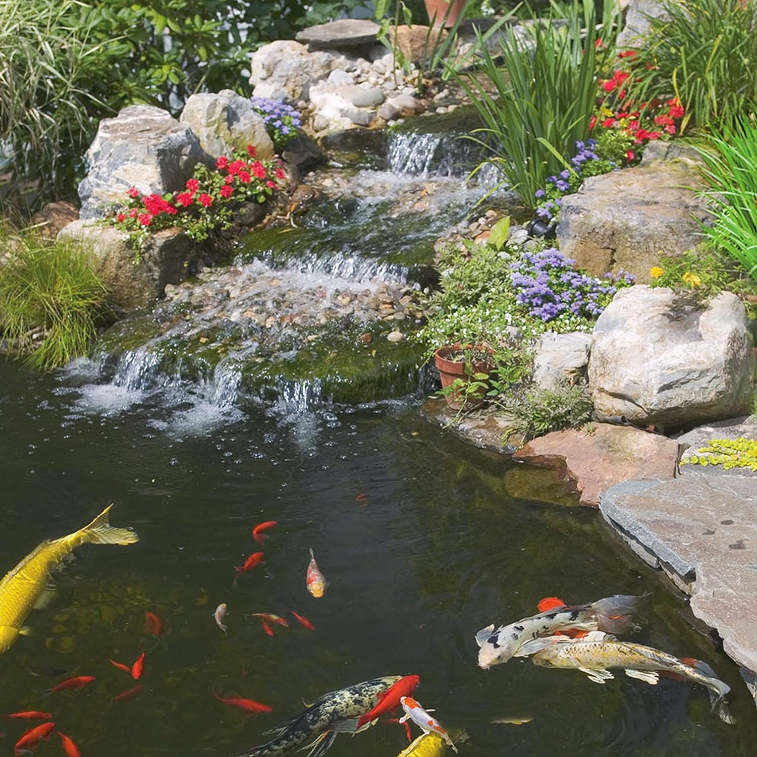 image:imageTetraPond Koi Growth 485 Pounds Soft Sticks Pond Fish Food485 Pound Pack of 1