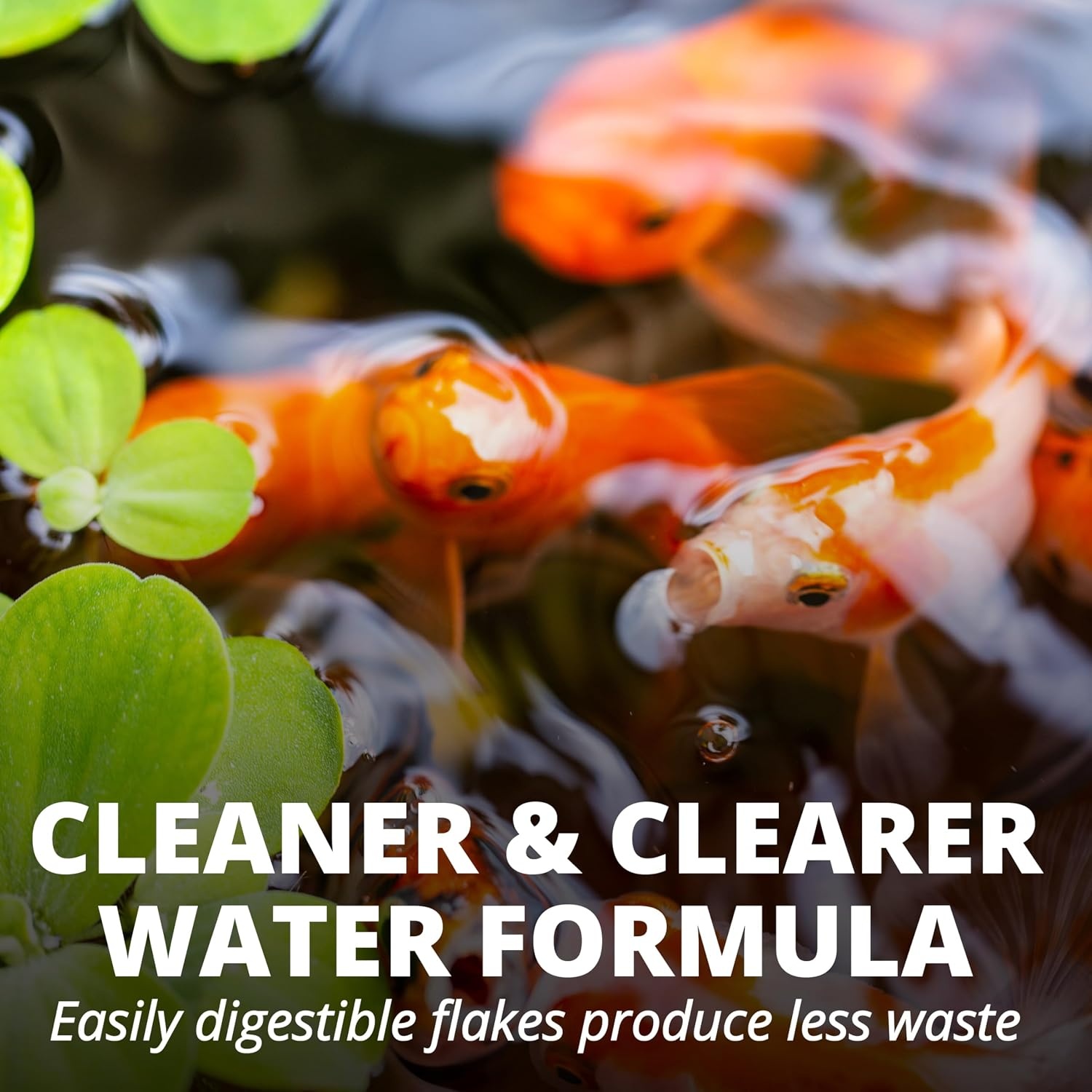 image:imageTetraPond Pond Flakes Complete Nutrition for Smaller Pond Fish Fish Food for Goldfish and Koi Fish 635 OuncesOriginal