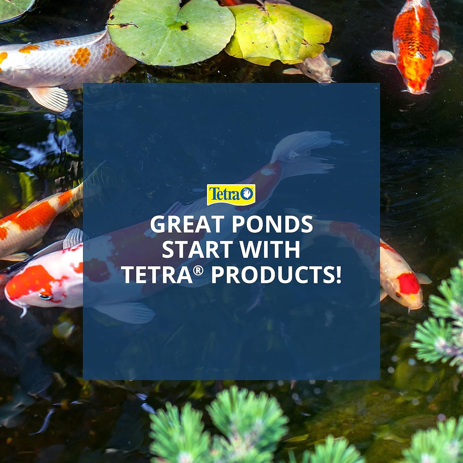 image:imageTetraPond Pond Tubing 34 Inch Diameter 20 Feet Long Connects Pond Components