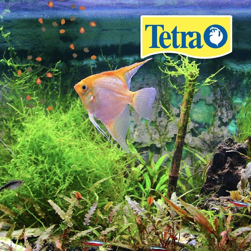 image:imageTetraPro Tropical Crisps 670 Ounces Fish Food Advanced Clear Water Formula67 Ounce Pack of 1