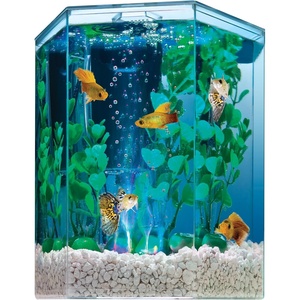 Tetra 3 Gallon Small Fish Tank, Aquarium Starter Kit, with Filter, Air pump, & Color Changing Light, Half Moon shape, for Gold Fish & Betta(1 Gallon)