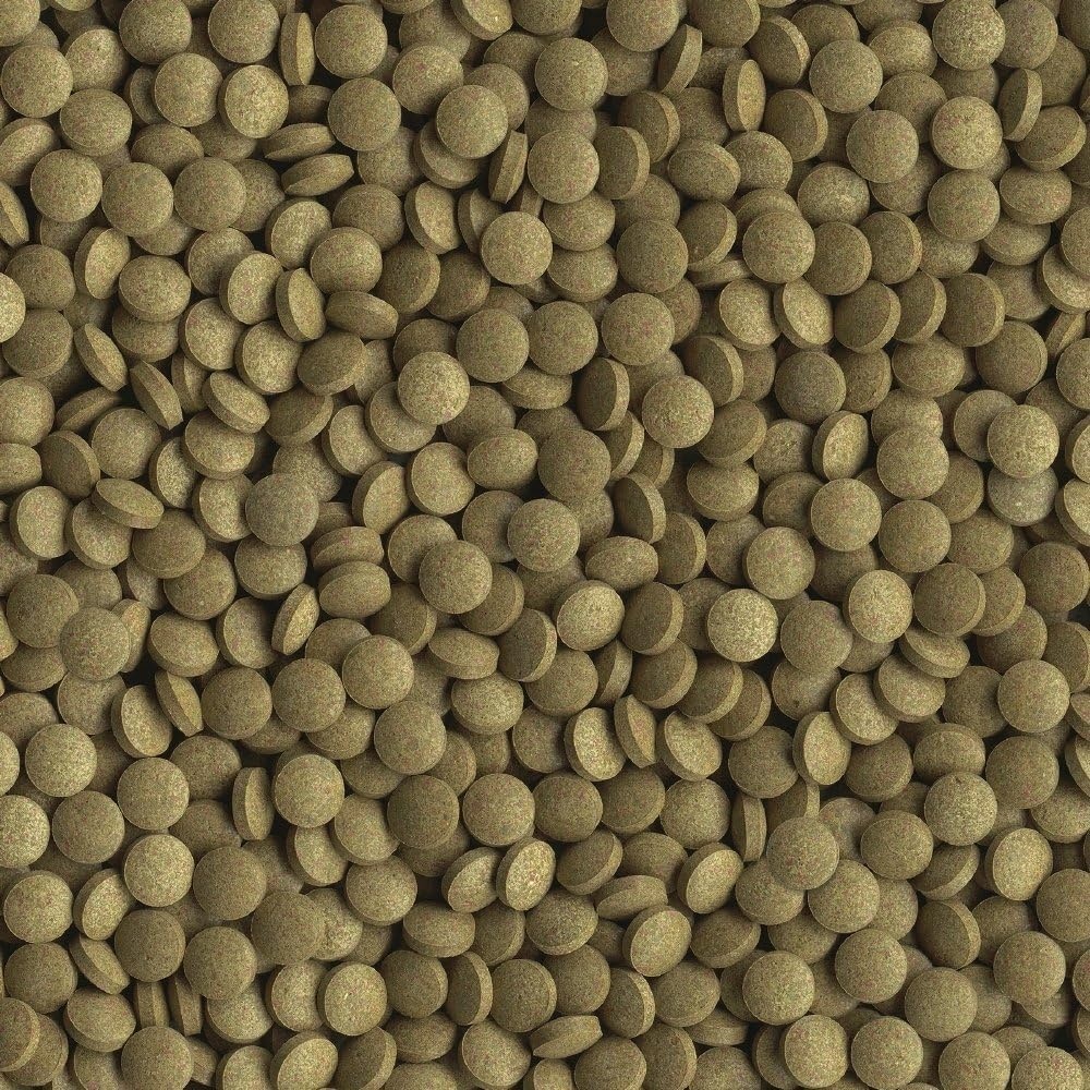 image:imageTetra TetraMin Tropical Tablets 169 Ounces Nutritionally Balanced Fish Food For Bottom Feeders169 Ounce Pack of 1