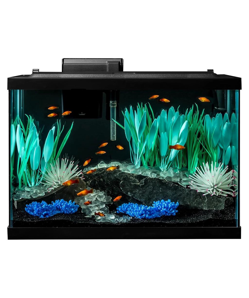 Tetra Official Store | Aquarium Care, Fish Food, Filters & Water Solutions