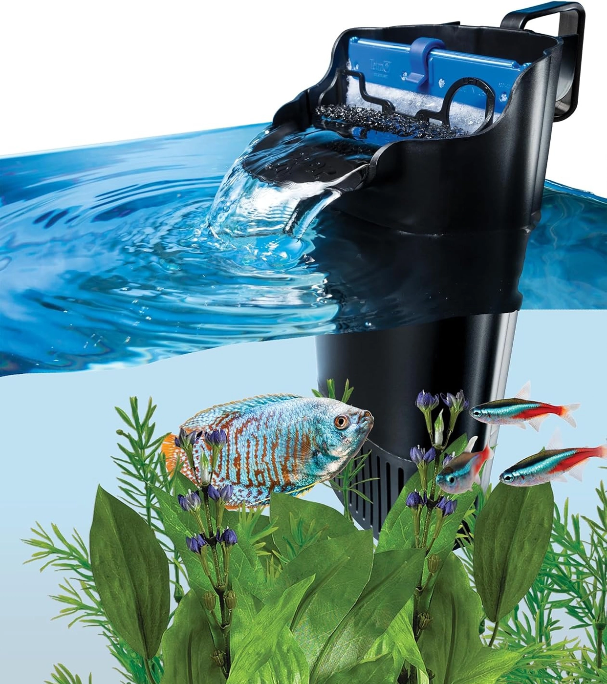 Tetra Official Store | Aquarium Care, Fish Food, Filters & Water Solutions