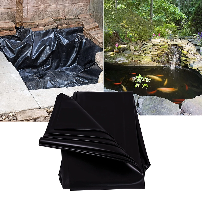 Tetra Official Store | Aquarium Care, Fish Food, Filters & Water Solutions